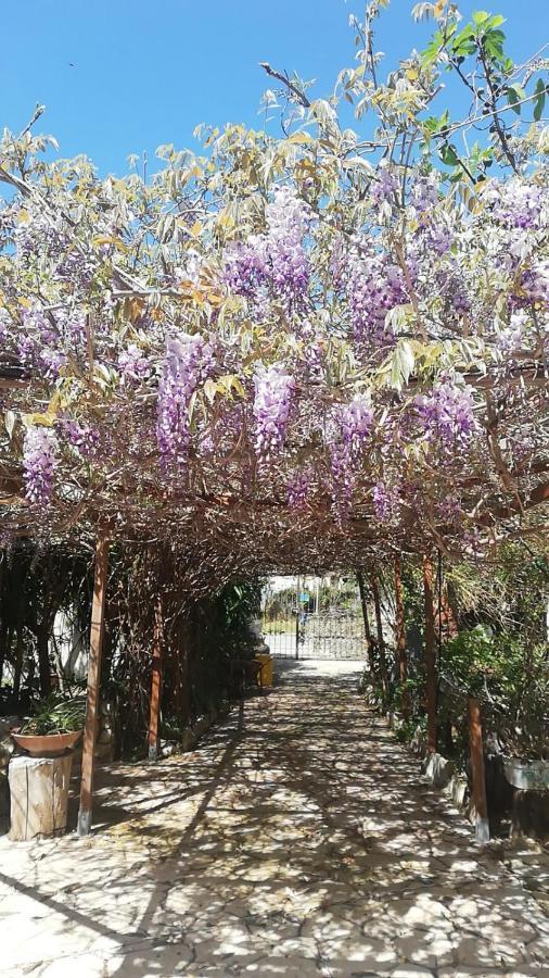 Villa Murgia Solanas (Cagliari) Exterior foto